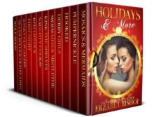 Holidays & More: A LesFic Short Story Collection