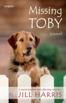 Missing Toby : A Novel