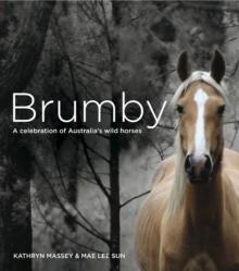 Brumby : A Celebration of Australia's Wild Horses