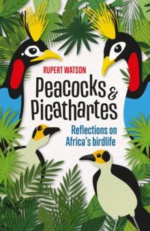 Peacocks & Picathartes