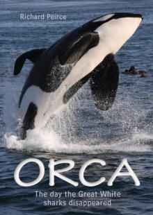 Orca