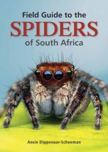 Field Guide to the Spiders of South Africa