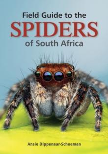 Field Guide to the Spiders of South Africa