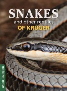 Snakes and other reptiles of Kruger : Nature Now