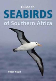 Seabirds of Southern Africa : A Practical Guide to Animal Tracking in Southern Africa