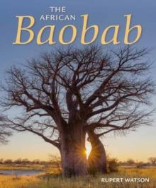 The African Baobab