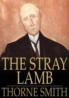 The Stray Lamb