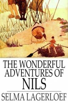 The Wonderful Adventures of Nils