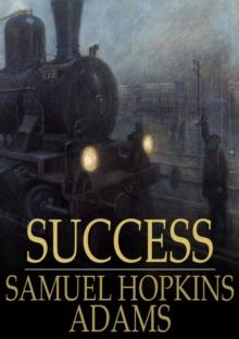 Success : A Novel