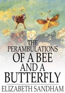 The Perambulations of a Bee and a Butterfly : In Which Are Delineated Those Smaller Traits of Character Which Escape the Observation of Larger Spectators