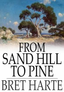 From Sand Hill to Pine