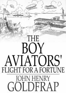 The Boy Aviators' Flight for a Fortune