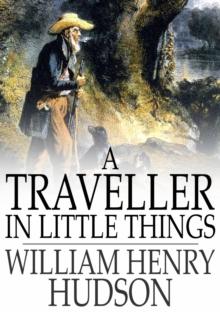 A Traveller in Little Things