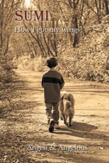 Sumi : How I Got My Wings