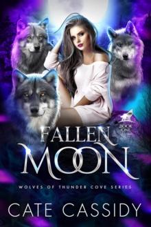 Fallen Moon : A Paranormal Shifter Romance