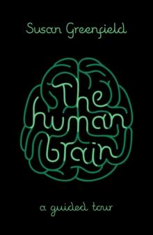 The Human Brain : A Guided Tour