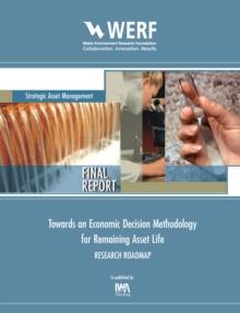 Research Roadmap : Towards an Economic Decision Methodology for Remaining Asset Life