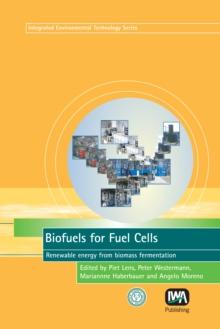 Biofuels for Fuel Cells