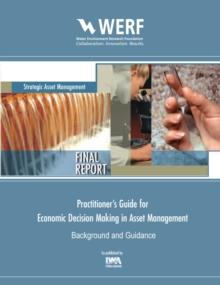 A Practitioner's Guide to Economic Decision Making in Asset Management : Background and Guidance