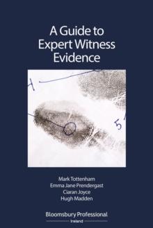 A Guide to Expert Witness Evidence