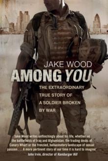 Among You : The Extraordinary True Story of a Soldier Broken by War