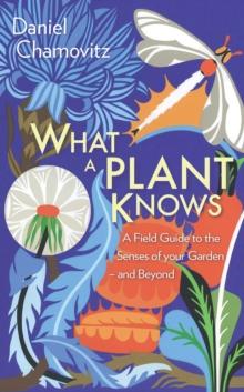 What a Plant Knows : A Field Guide to the Senses of Your Garden - and Beyond