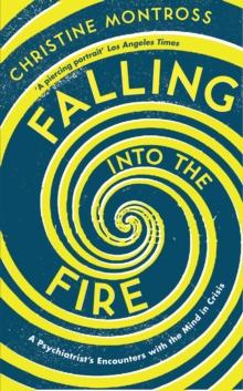 Falling into the Fire : A Psychiatrist's Encounters with the Mind in Crisis