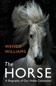 Horse : A Biography of Our Noble Companion