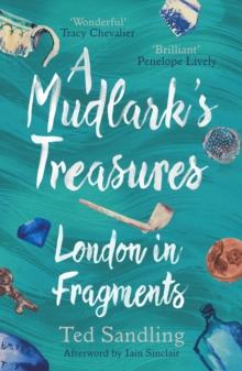 A Mudlark's Treasures : London in Fragments