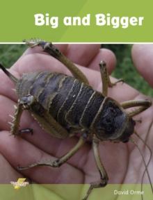 Big and Bigger (ebook) : Set 1