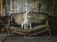 Furbex : A Dogs Life of Urban Exploration