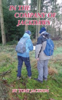 In the Company of Jackdaws