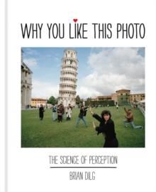 Why You Like This Photo : The science of perception