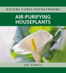 Air-Purifying Houseplants