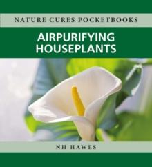 Air-purifying Houseplants