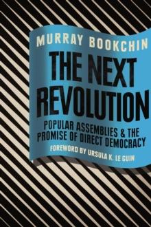 The Next Revolution : Popular Assemblies and the Promise of Direct Democracy