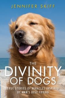 Divinity of Dogs