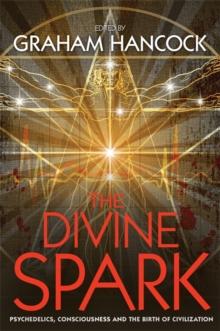 The Divine Spark : Psychedelics, Consciousness and the Birth of Civilization