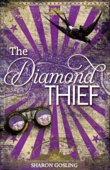 The Diamond Thief