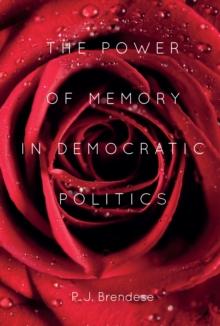 The Power of Memory in Democratic Politics