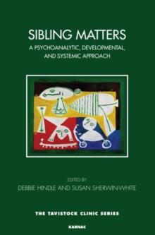 Sibling Matters : A Psychoanalytic, Developmental, and Systemic Approach