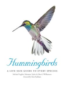 Hummingbirds : A Life-Size Guide to Every Species