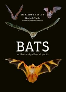 Bats : An illustrated guide to all species