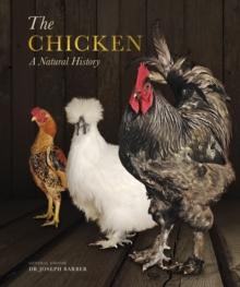 The Chicken : A Natural History