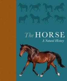 The Horse : A natural history