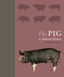 The Pig : A Natural History