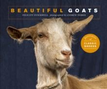 Beautiful Goats : Portraits of champion breeds