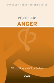 Insight into Anger