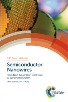 Semiconductor Nanowires : From Next-Generation Electronics to Sustainable Energy