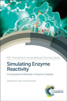 Simulating Enzyme Reactivity : Computational Methods in Enzyme Catalysis